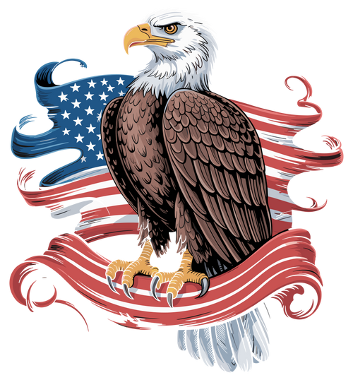 American Eagle Tee