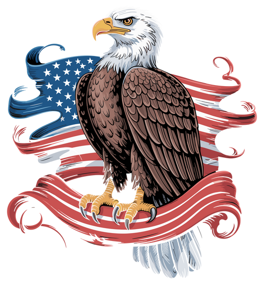 American Eagle Tee