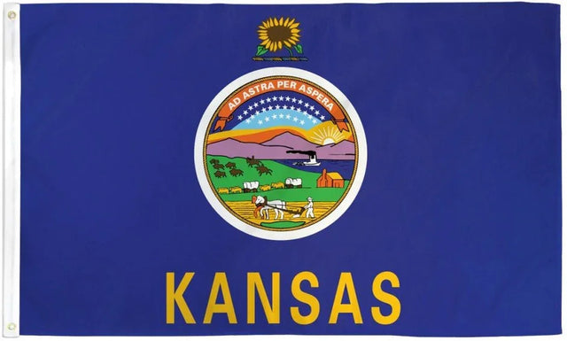 Kansas state flag with sunflower, state seal, and bold yellow KANSAS text on blue background