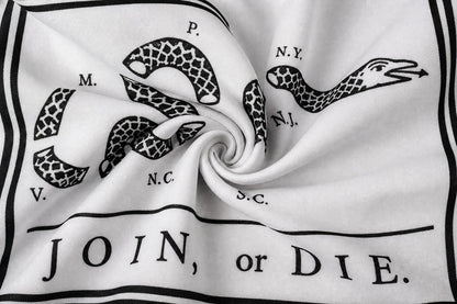 Join or Die Flag fabric detail